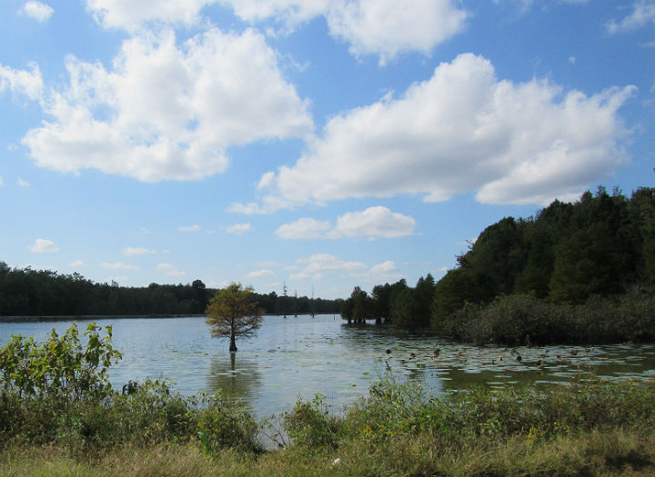 Mermet Lake